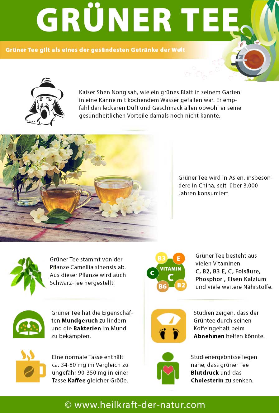 Grüner Tee - Darum ist es das gesündesten Getränk der Welt - Heilkraft