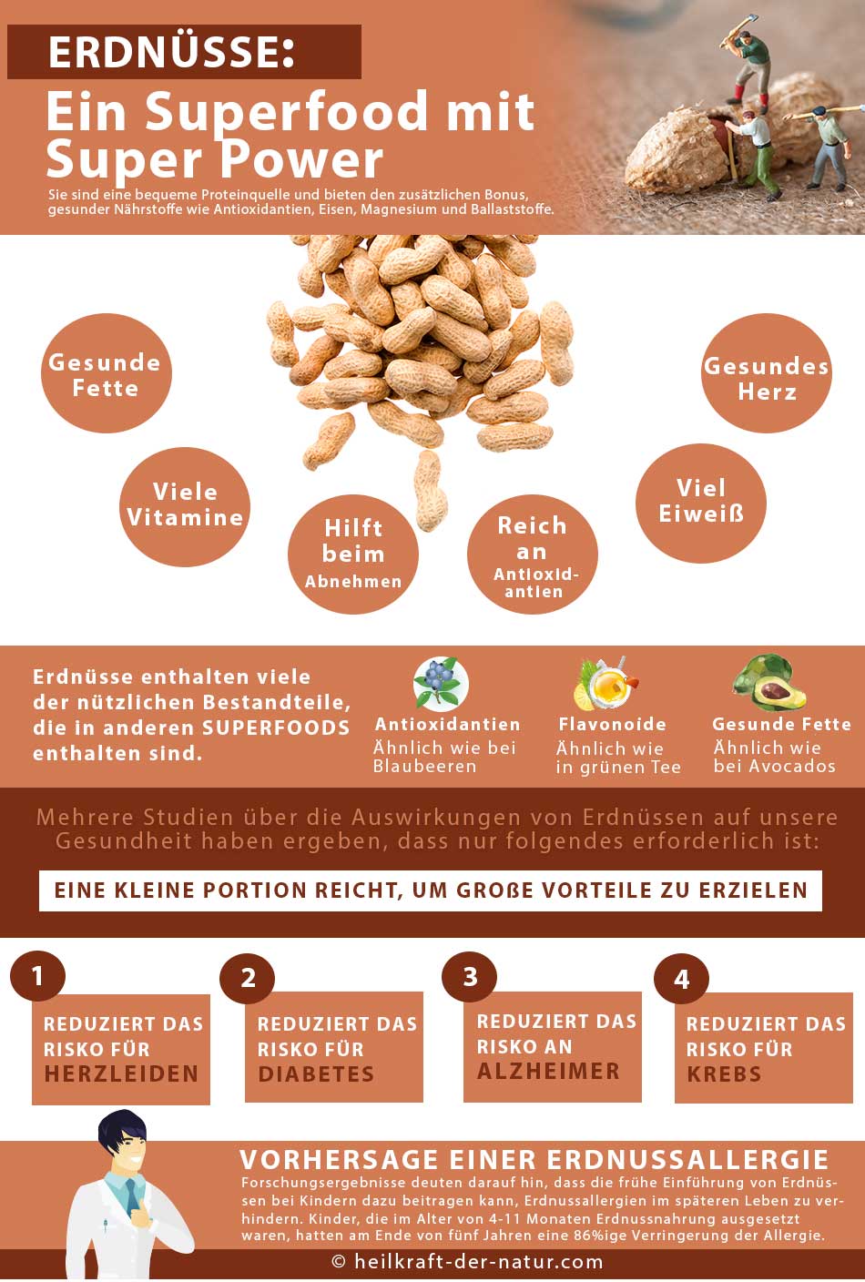 7 Vorteile: Darum sind Erdnüsse so gesund - Heilkraft der Natur